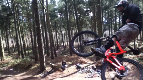 Delamere Forest Mountain Bike Trails