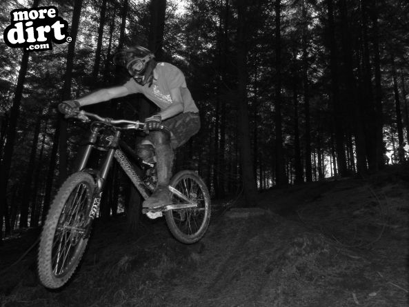 Triscombe Mountain Bike Trails