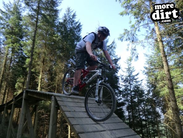 Black Trail - Coed Llandegla Forest