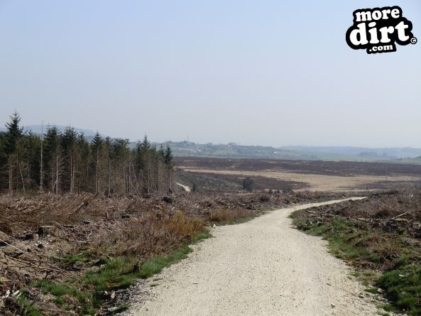 Blue Trail - Coed Llandegla Forest