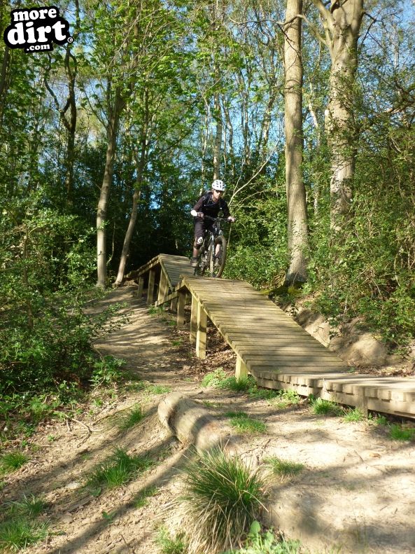 Powerline Trail - Chopwell
