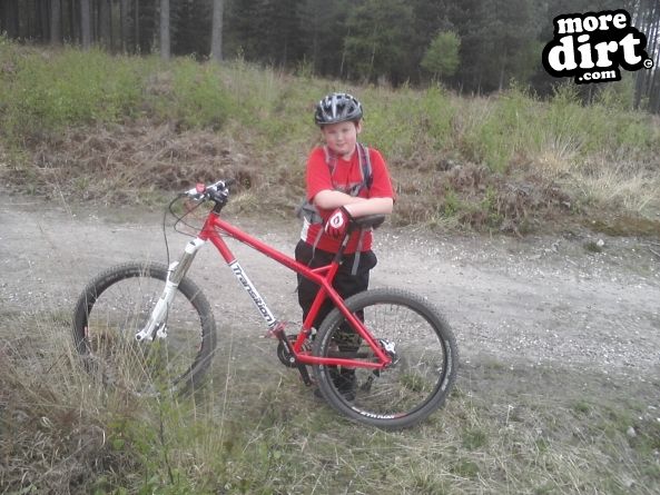 Follow the Dog Trail - Cannock Chase