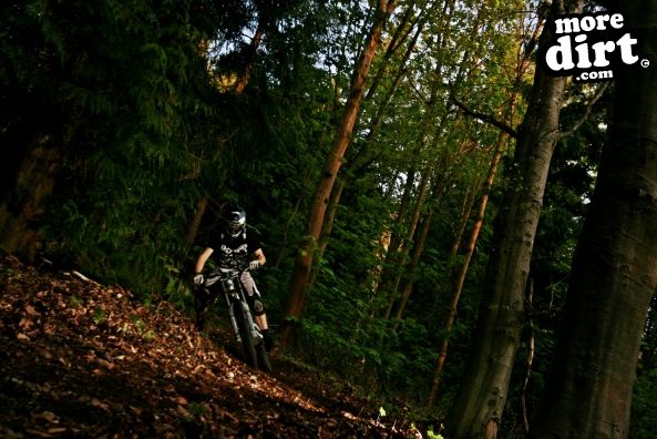 Just thought it would be funny to chase him throug