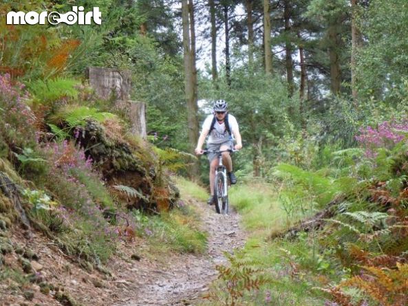 Mabie Forest - Skills Area