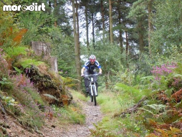 Mabie Forest - Skills Area