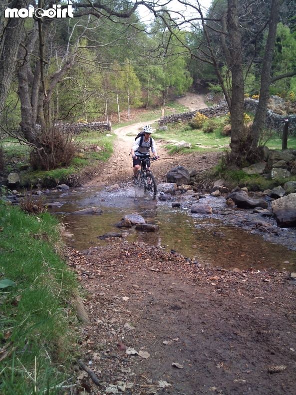 Hamsterley Forest Mountain Bike Trails