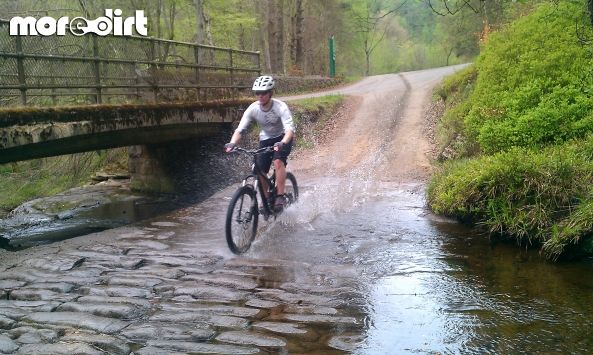 Hamsterley Forest Mountain Bike Trails