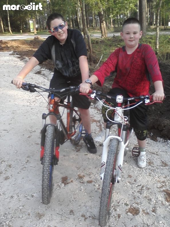 Follow the Dog Trail - Cannock Chase