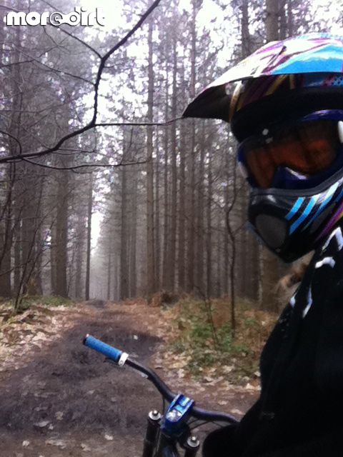 Bedgebury Freeride Area
