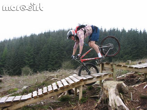 Dark Side Trail - Mabie Forest