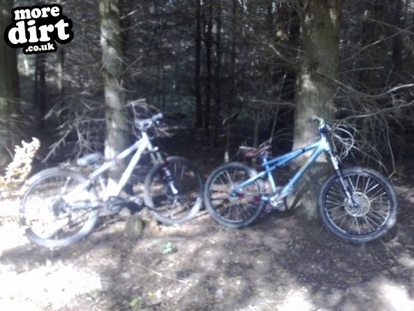 Powerline Trail - Chopwell