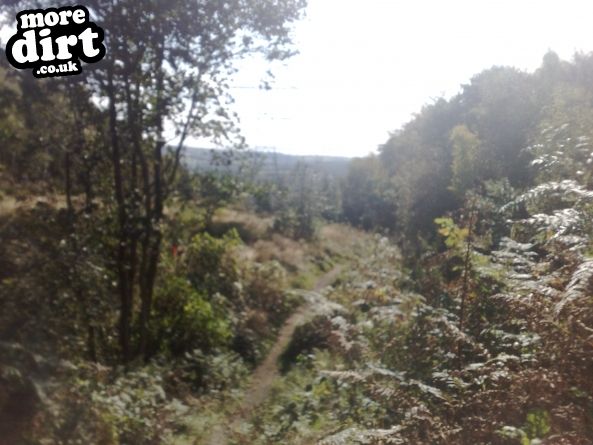 Powerline Trail - Chopwell