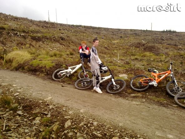 Black Trail - Coed Llandegla Forest
