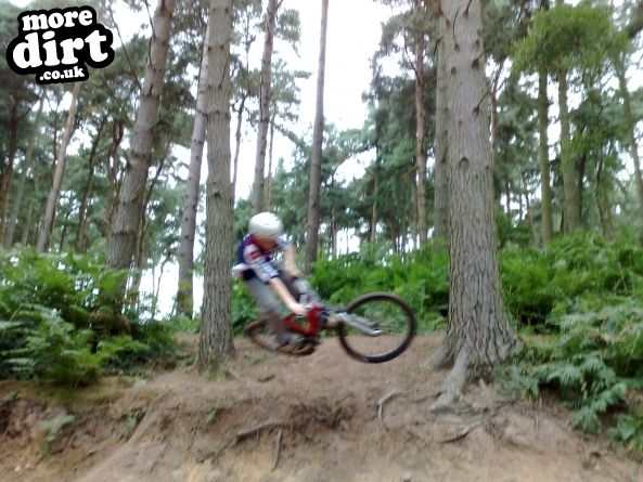 Delamere Forest Mountain Bike Trails