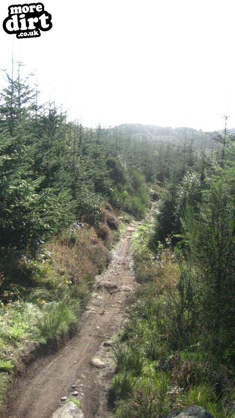 Hardrock Trail