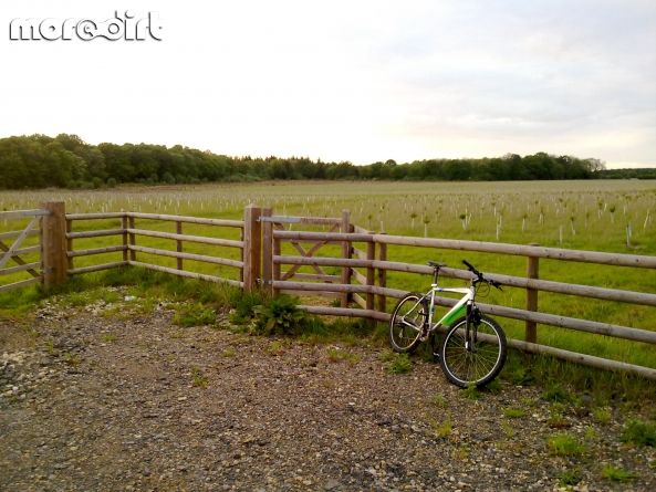 out and about hammering the tarmac on the butler h