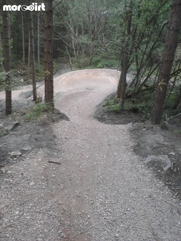 Skills Area - Forest of Dean