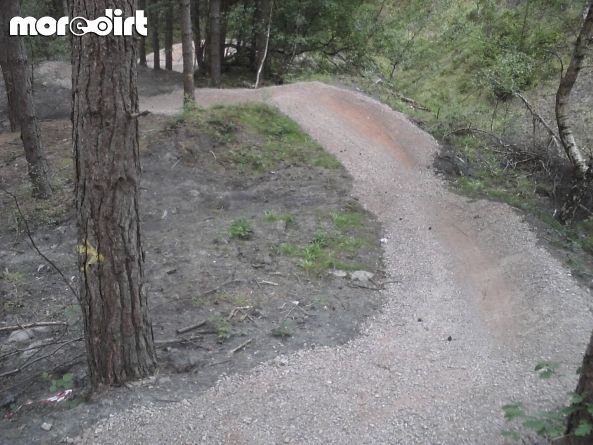 Skills Area - Forest of Dean