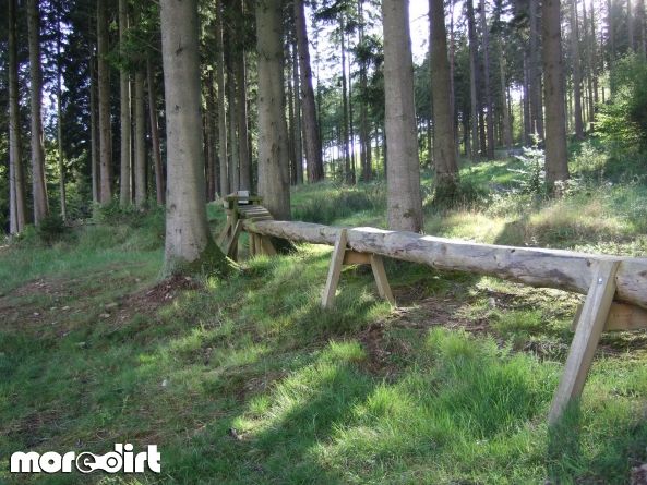 Mabie Forest - Skills Area