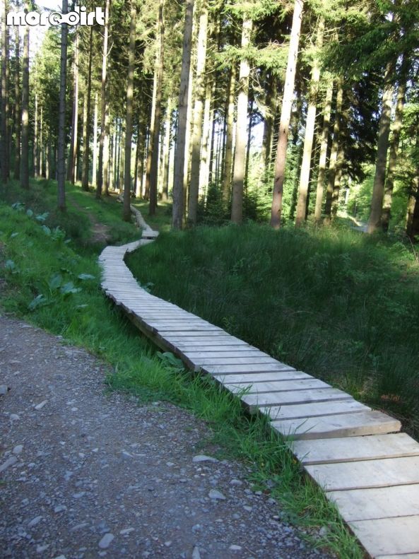 Mabie Forest - Skills Area