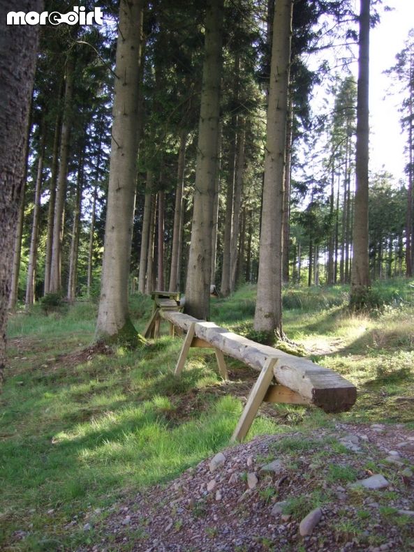 Mabie Forest - Skills Area