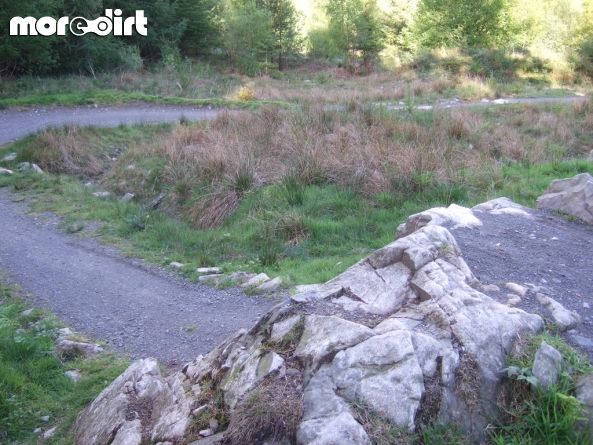 Mabie Forest - Skills Area