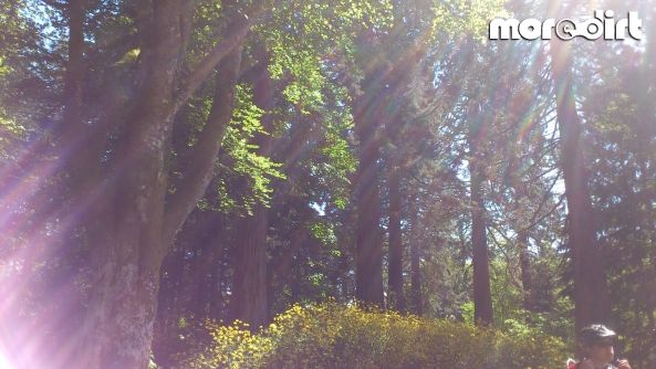Drumlanrig Castle Mountain Bike Trails