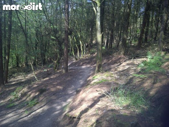 Healey Nab Mountain Bike Trails