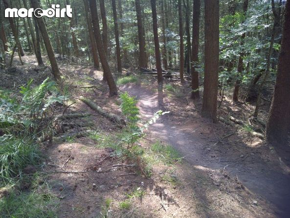 Healey Nab Mountain Bike Trails