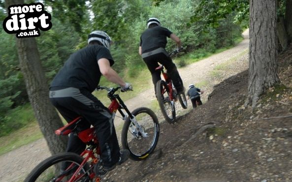 Swinley Forest Mountain Bike Centre