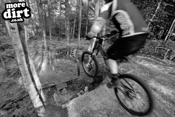 Swinley Forest Mountain Bike Centre