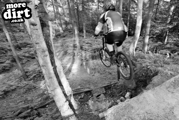 Swinley Forest Mountain Bike Centre