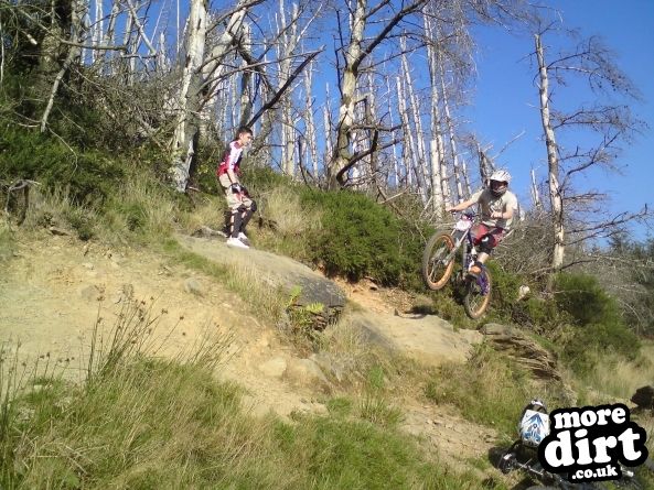 Mountain Ash DH Trail