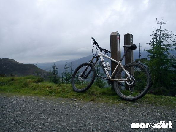Altura Trail - Whinlatter Forest