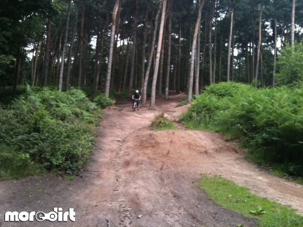 Delamere Forest Mountain Bike Trails
