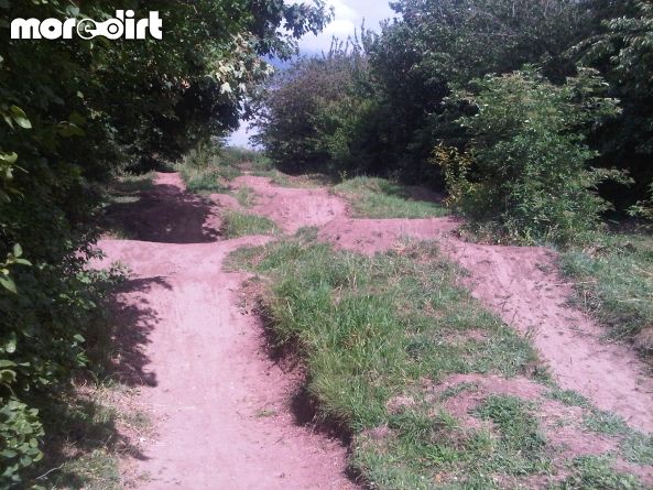 found this gem of a trail today, its been here age