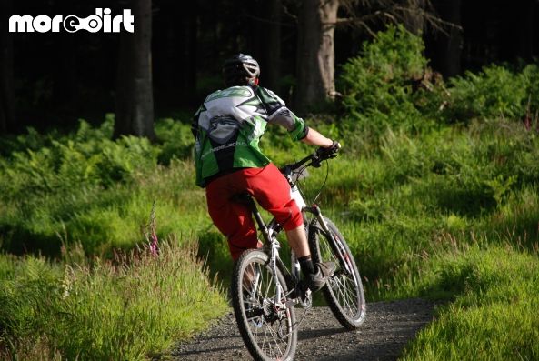 The Red Trail - Glentress