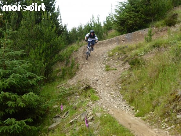 The Wall Trail - Afan Forest