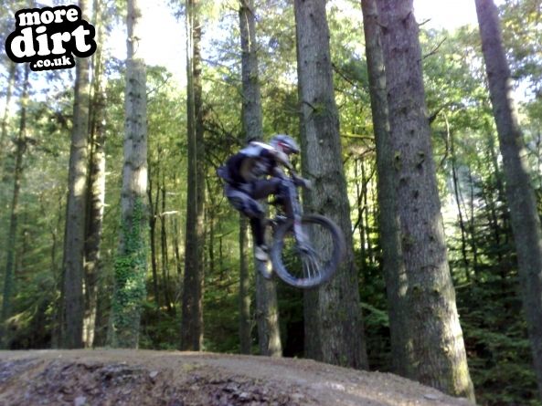 Raven Trail - Brechfa