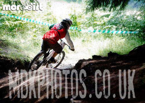Mountain Ash DH Trail