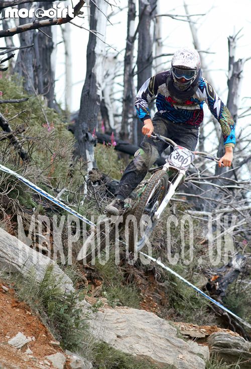 Mountain Ash DH Trail