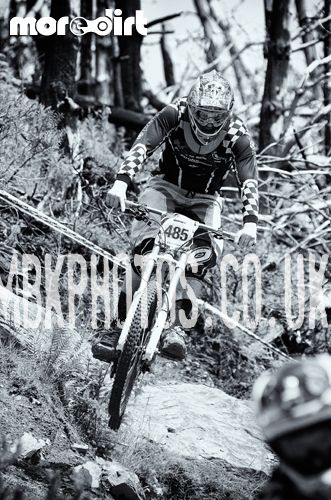 Mountain Ash DH Trail