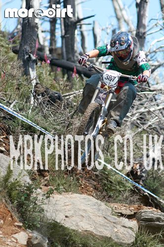 Mountain Ash DH Trail