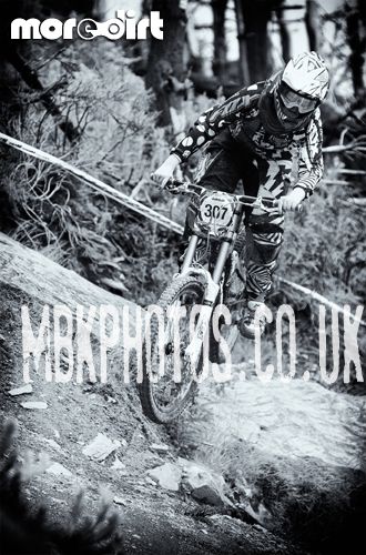 Mountain Ash DH Trail