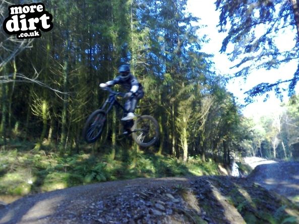 Raven Trail - Brechfa