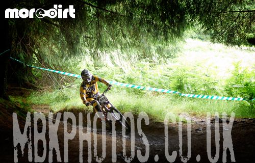 Mountain Ash DH Trail