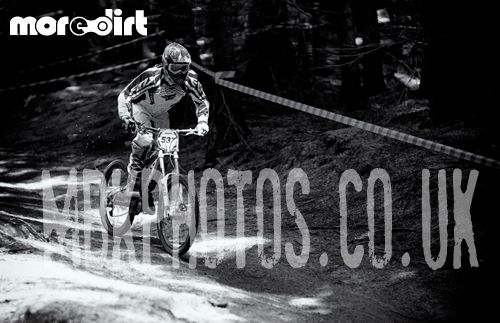 Mountain Ash DH Trail