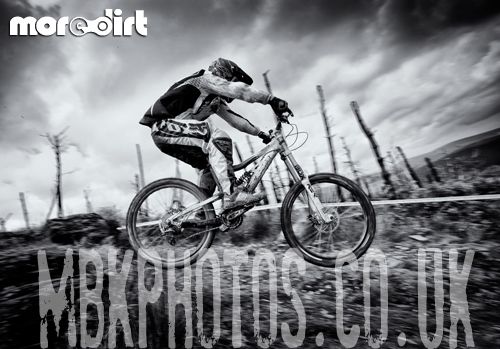 Mountain Ash DH Trail