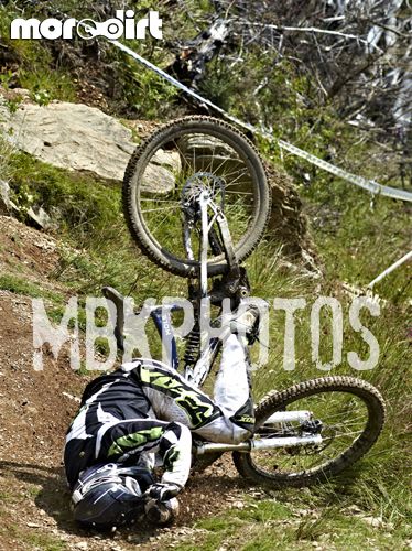 Mountain Ash DH Trail