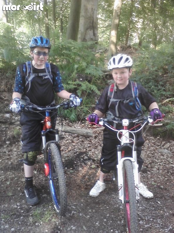 Follow the Dog Trail - Cannock Chase